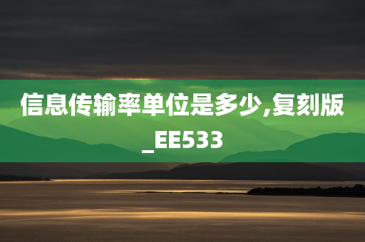 信息传输率单位是多少,复刻版_EE533