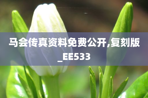 马会传真资料免费公开,复刻版_EE533