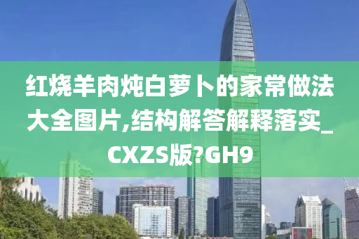 红烧羊肉炖白萝卜的家常做法大全图片,结构解答解释落实_CXZS版?GH9