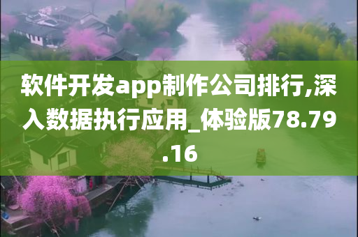 软件开发app制作公司排行,深入数据执行应用_体验版78.79.16