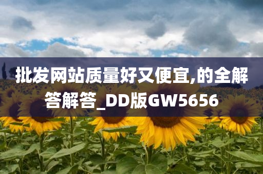 批发网站质量好又便宜,的全解答解答_DD版GW5656