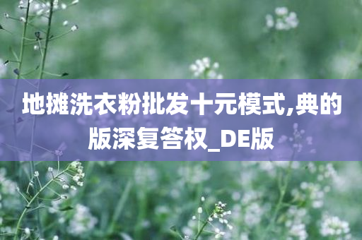 地摊洗衣粉批发十元模式,典的版深复答权_DE版