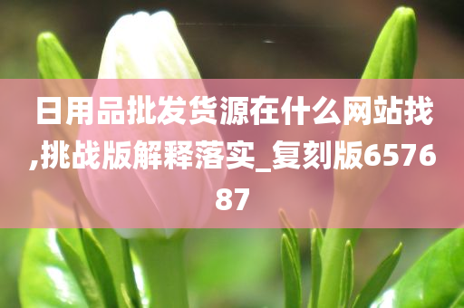 日用品批发货源在什么网站找,挑战版解释落实_复刻版657687