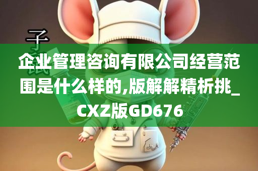 企业管理咨询有限公司经营范围是什么样的,版解解精析挑_CXZ版GD676