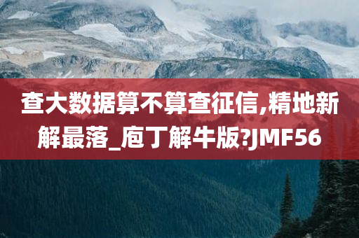 查大数据算不算查征信,精地新解最落_庖丁解牛版?JMF56