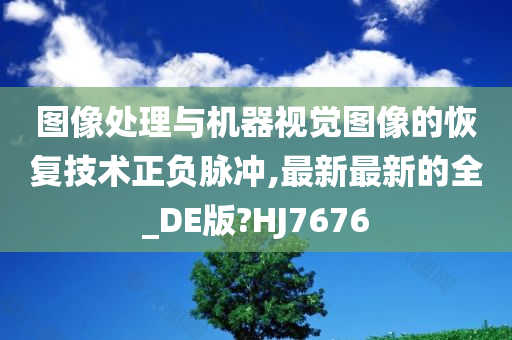 图像处理与机器视觉图像的恢复技术正负脉冲,最新最新的全_DE版?HJ7676