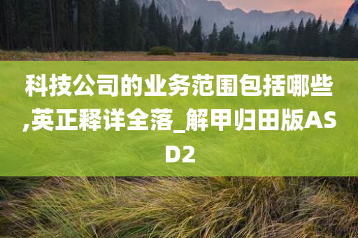 科技公司的业务范围包括哪些,英正释详全落_解甲归田版ASD2