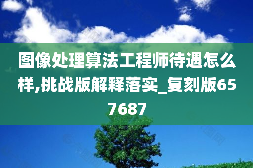 图像处理算法工程师待遇怎么样,挑战版解释落实_复刻版657687