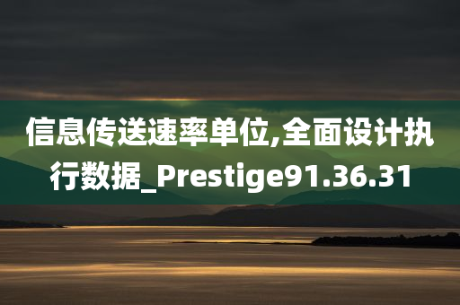 信息传送速率单位,全面设计执行数据_Prestige91.36.31