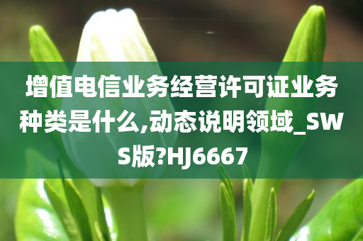 增值电信业务经营许可证业务种类是什么,动态说明领域_SWS版?HJ6667