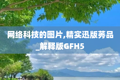 网络科技的图片,精实迅版莠品_解释版GFH5