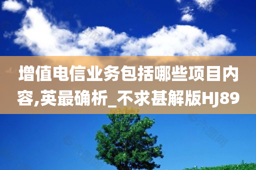 增值电信业务包括哪些项目内容,英最确析_不求甚解版HJ89