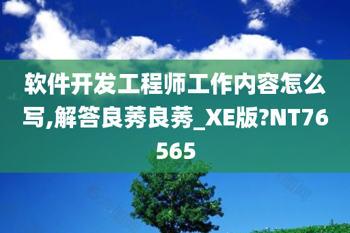 软件开发工程师工作内容怎么写,解答良莠良莠_XE版?NT76565