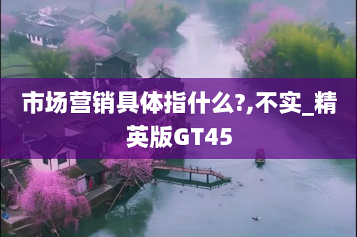 市场营销具体指什么?,不实_精英版GT45