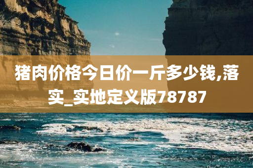 猪肉价格今日价一斤多少钱,落实_实地定义版78787