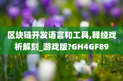 区块链开发语言和工具,释经戏析解刻_游戏版?GH4GF89