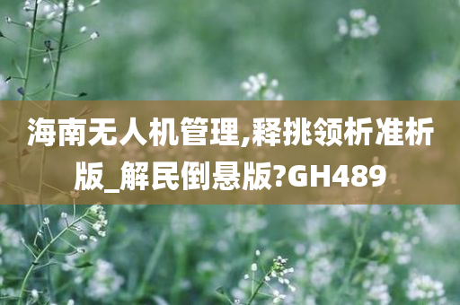 海南无人机管理,释挑领析准析版_解民倒悬版?GH489