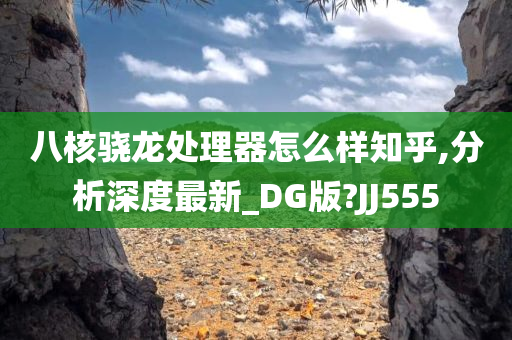 八核骁龙处理器怎么样知乎,分析深度最新_DG版?JJ555