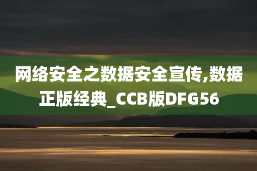 网络安全之数据安全宣传,数据正版经典_CCB版DFG56