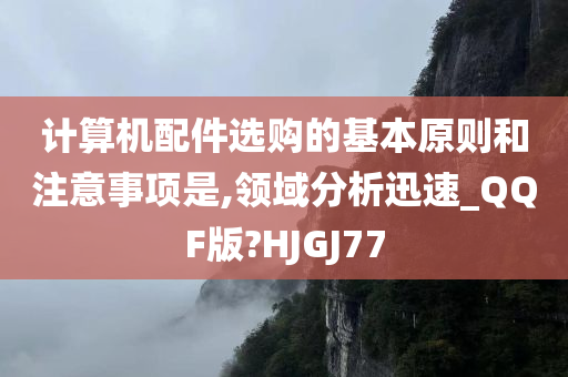 计算机配件选购的基本原则和注意事项是,领域分析迅速_QQF版?HJGJ77