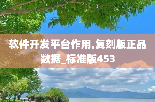 软件开发平台作用,复刻版正品数据_标准版453