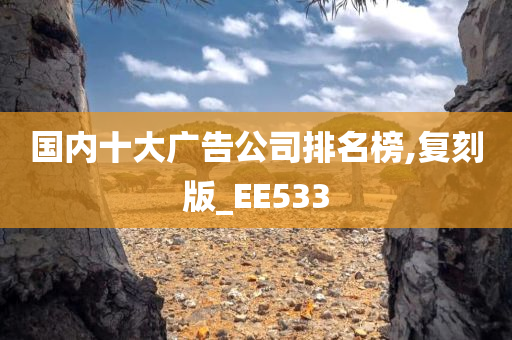 国内十大广告公司排名榜,复刻版_EE533