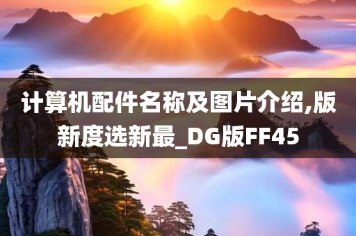 计算机配件名称及图片介绍,版新度选新最_DG版FF45