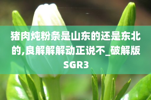 猪肉炖粉条是山东的还是东北的,良解解解动正说不_破解版SGR3