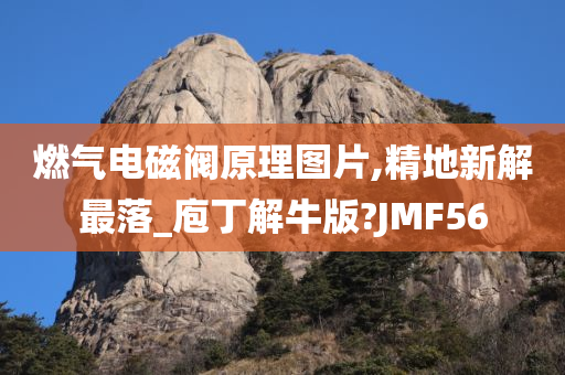 燃气电磁阀原理图片,精地新解最落_庖丁解牛版?JMF56