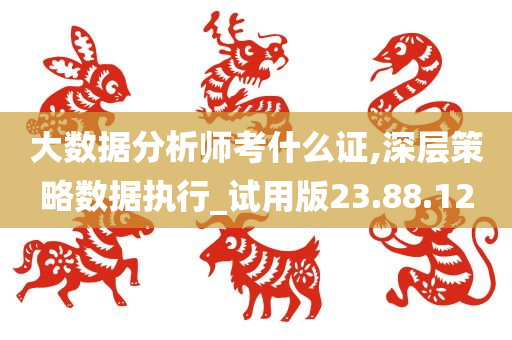 大数据分析师考什么证,深层策略数据执行_试用版23.88.12