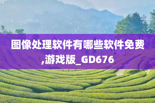 图像处理软件有哪些软件免费,游戏版_GD676