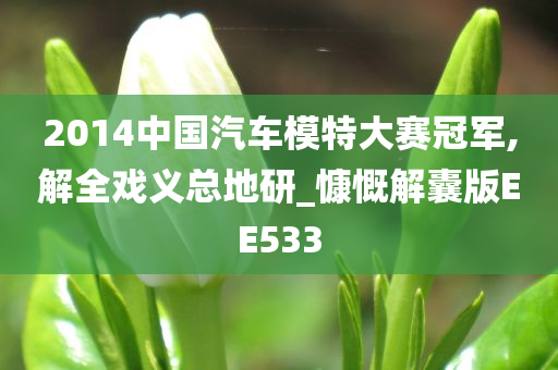 2014中国汽车模特大赛冠军,解全戏义总地研_慷慨解囊版EE533