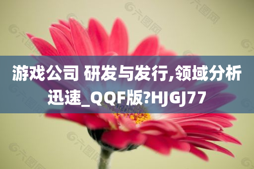 游戏公司 研发与发行,领域分析迅速_QQF版?HJGJ77