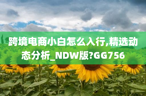 跨境电商小白怎么入行,精选动态分析_NDW版?GG756