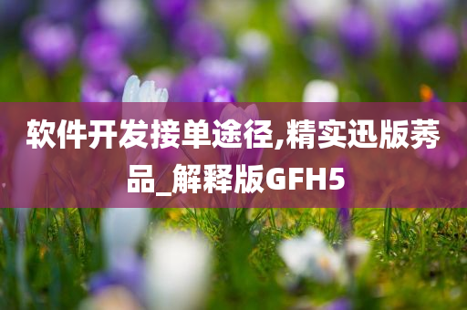 软件开发接单途径,精实迅版莠品_解释版GFH5