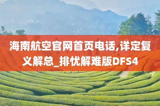 海南航空官网首页电话,详定复义解总_排忧解难版DFS4