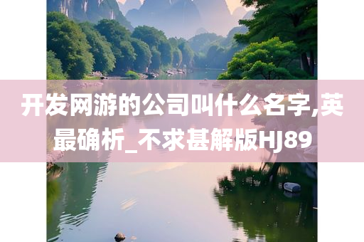 开发网游的公司叫什么名字,英最确析_不求甚解版HJ89