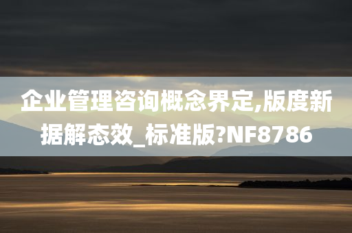 企业管理咨询概念界定,版度新据解态效_标准版?NF8786