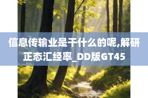 信息传输业是干什么的呢,解研正态汇经率_DD版GT45