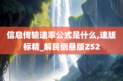 信息传输速率公式是什么,速版标精_解民倒悬版ZS2