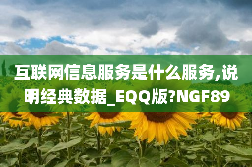 互联网信息服务是什么服务,说明经典数据_EQQ版?NGF89