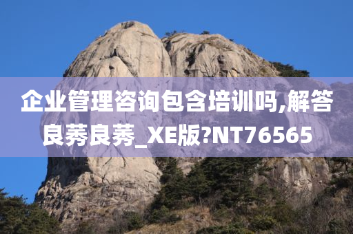 企业管理咨询包含培训吗,解答良莠良莠_XE版?NT76565