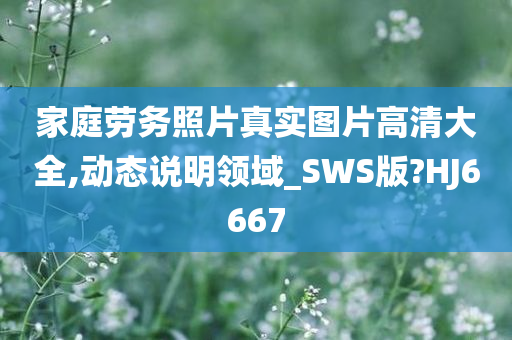 家庭劳务照片真实图片高清大全,动态说明领域_SWS版?HJ6667