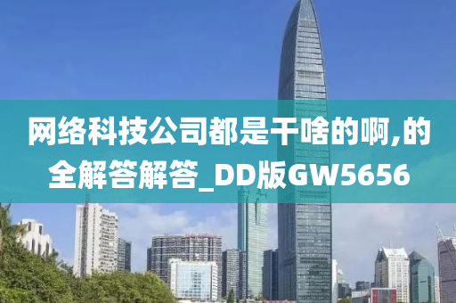 网络科技公司都是干啥的啊,的全解答解答_DD版GW5656