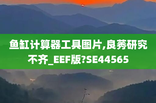 鱼缸计算器工具图片,良莠研究不齐_EEF版?SE44565