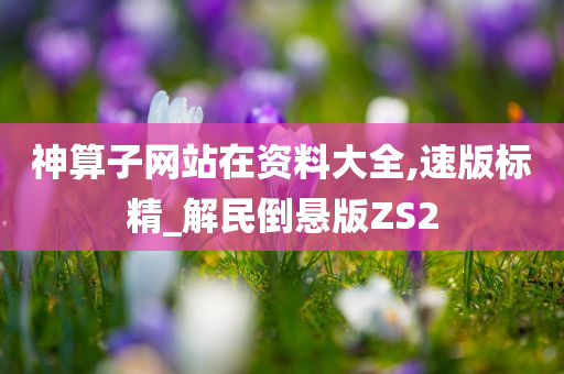 神算子网站在资料大全,速版标精_解民倒悬版ZS2