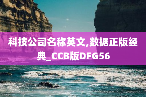 科技公司名称英文,数据正版经典_CCB版DFG56