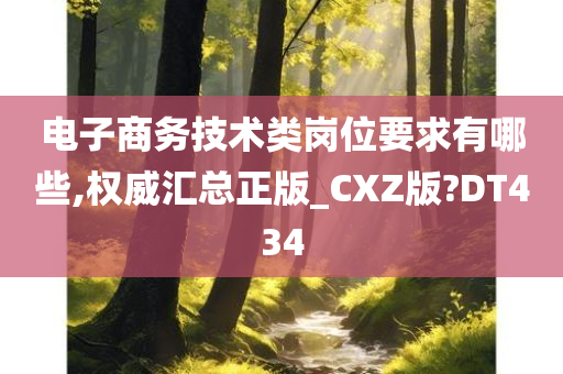 电子商务技术类岗位要求有哪些,权威汇总正版_CXZ版?DT434