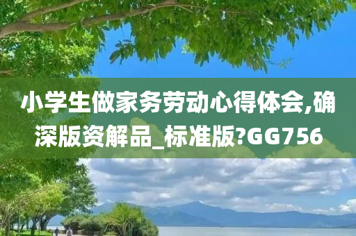 小学生做家务劳动心得体会,确深版资解品_标准版?GG756