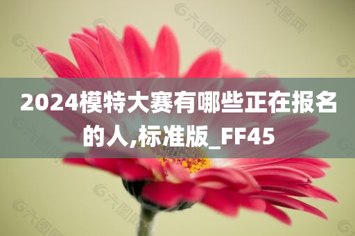 2024模特大赛有哪些正在报名的人,标准版_FF45